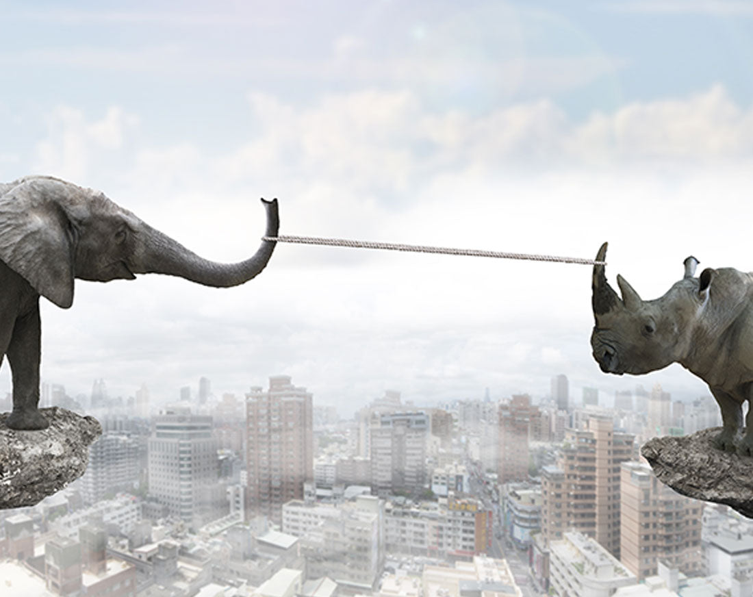 Who determines your expected level of service?