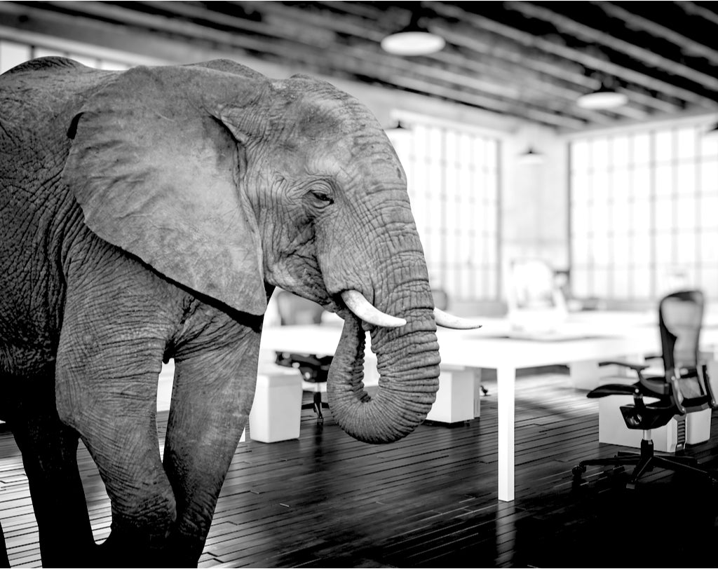 Our Elephant in the Room