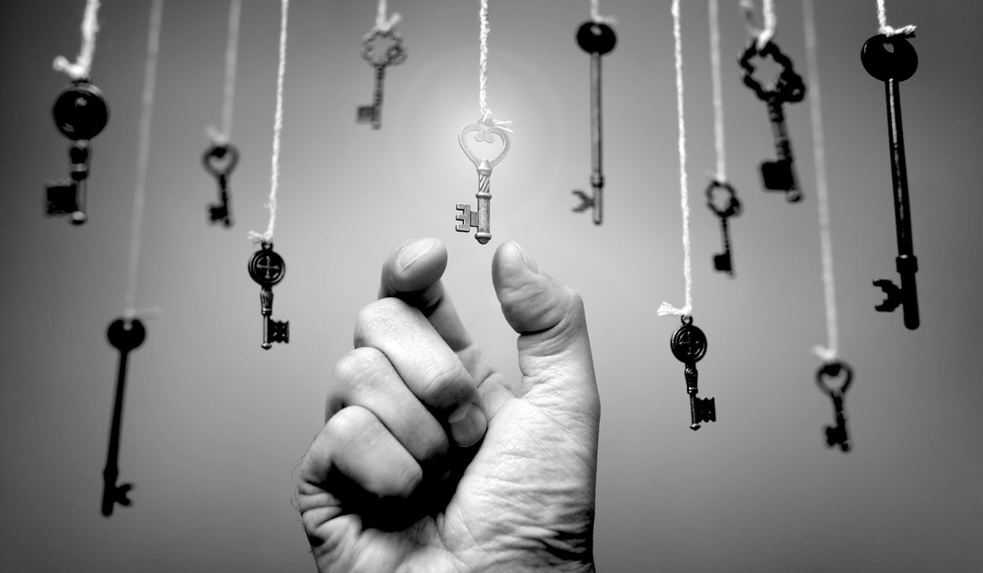 Why Operations Is Key to Your Profitability