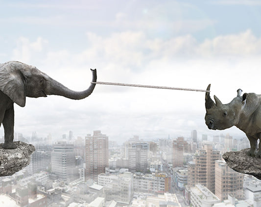 Who determines your expected level of service?