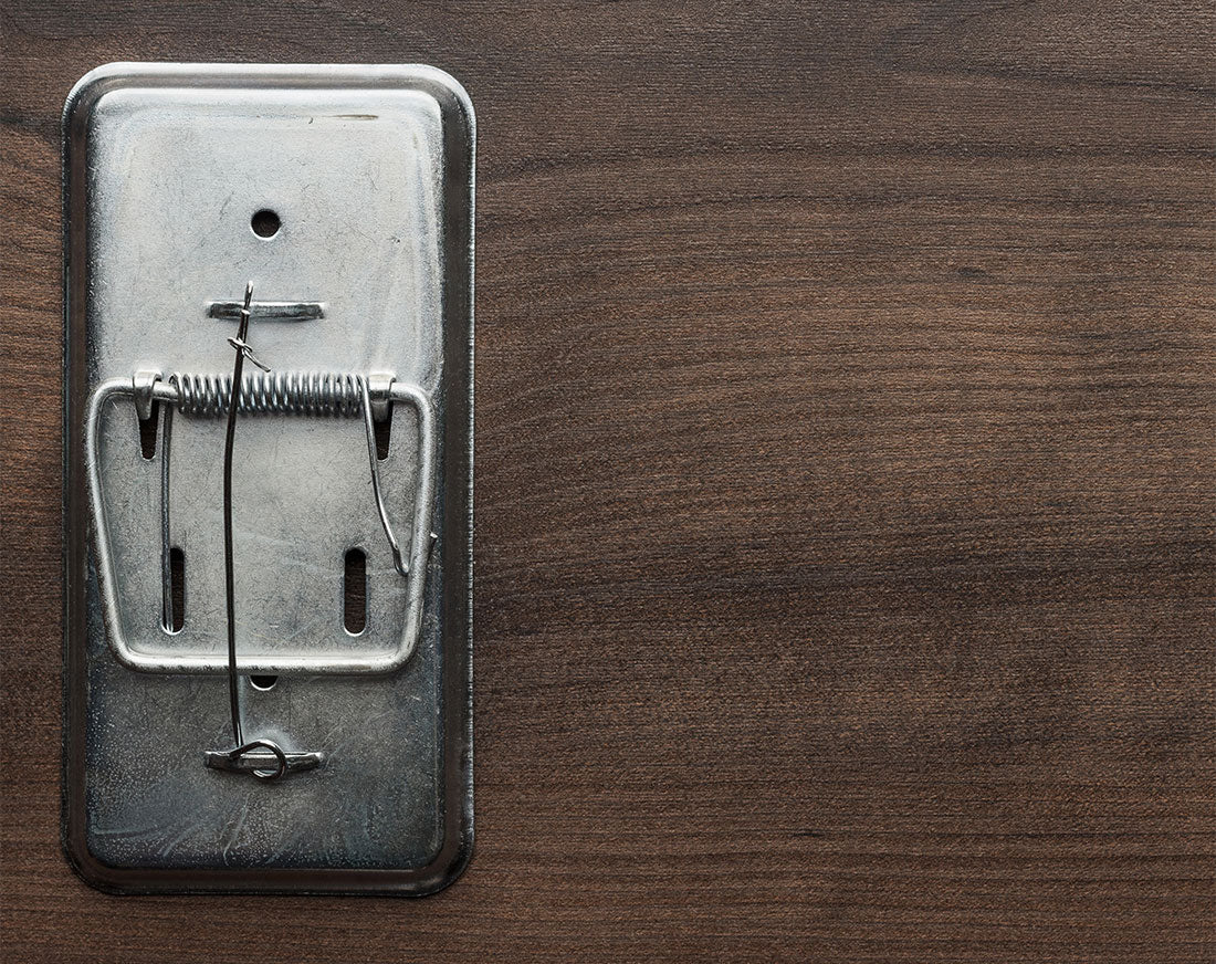 Have you learned the new form of Persuasion?