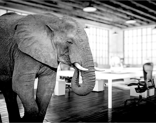 Our Elephant in the Room