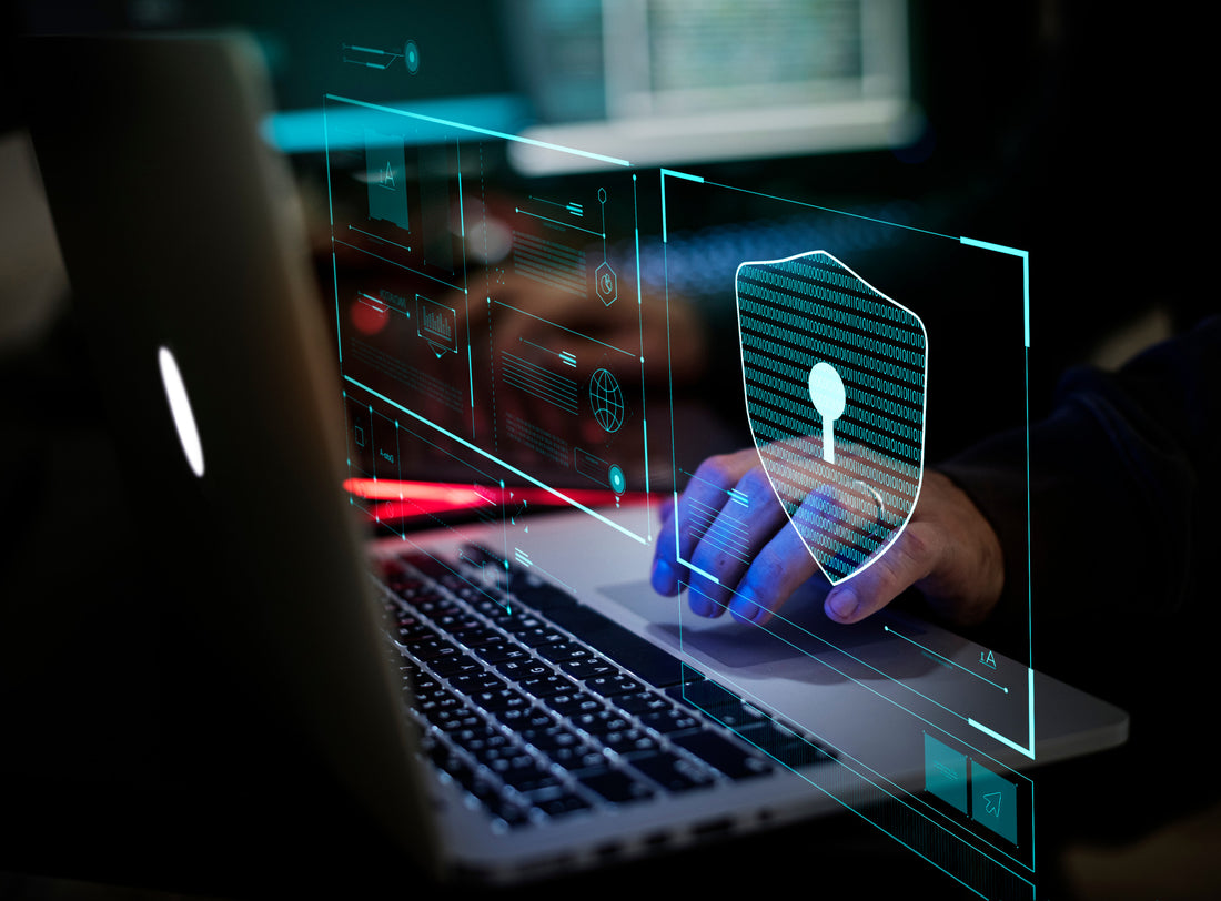 Threatlocker,Cybersecurity,Enterprise-Level Security,Data Protection