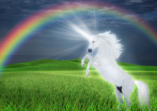 Unicorn representing MSP Marketing Success