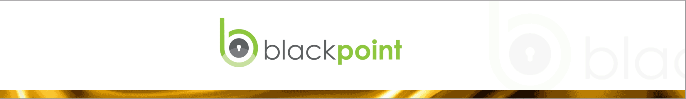 blackpointcyber